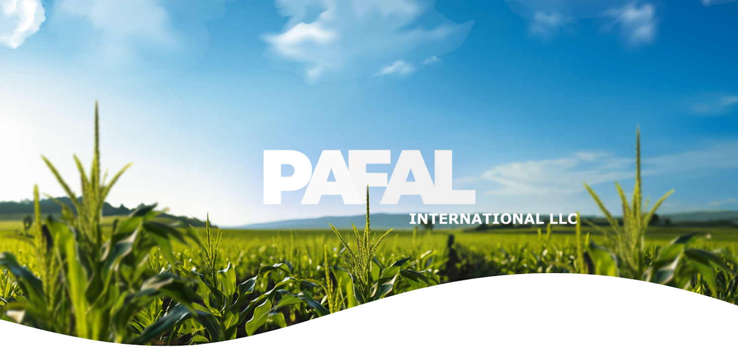 PAFAL International LLC logo over a green corn field and blue sky
